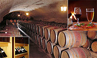 Wein Kultur Reise Chile